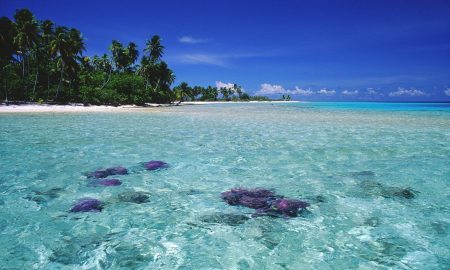 Акватики II_Пляж