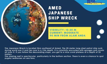 Amed Japanese Ship Wreck