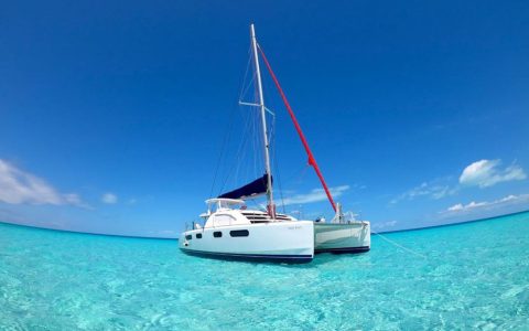 Shark Explorers_Great White