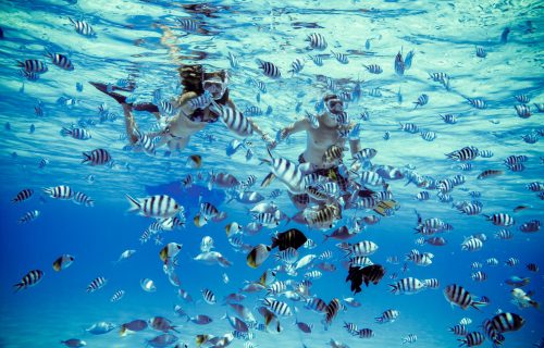 Туры на Таити_Бора-Бора Снорклинг