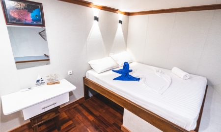 Nautilus Two_Cabin Lower Deck