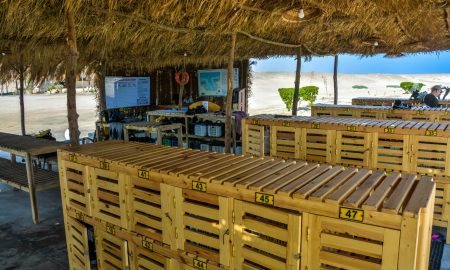 Marsa Nakari Village_Diving