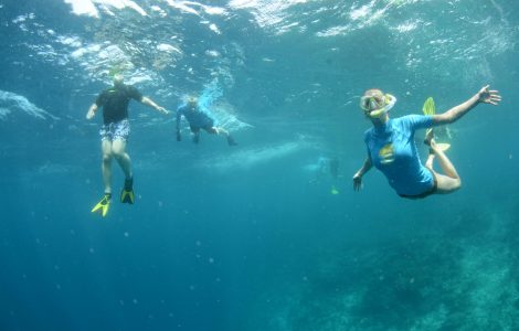 Maldives_Snorkeling