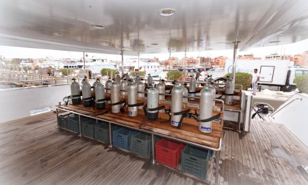 Blue Pearl_Dive Deck