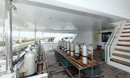 Blue Pearl_Dive Deck