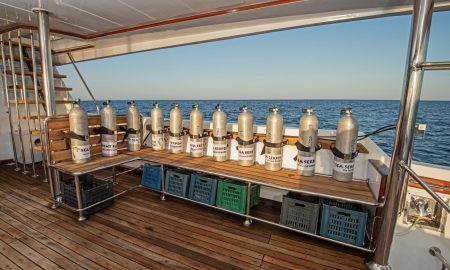 Sea Serpent Serea_Dive Platform