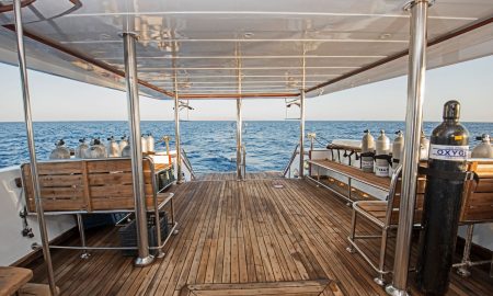 Sea Serpent Serena_Dive Platform