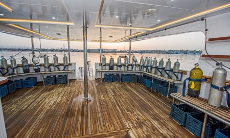 Sea Serpent_Dive Deck