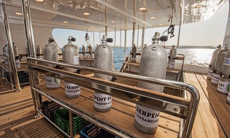 Sea Serpent Excellence_Dive Deck