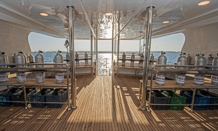 Sea Serpent Excellence_Dive Deck