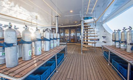 Sea Serpent Glory_Dive Deck