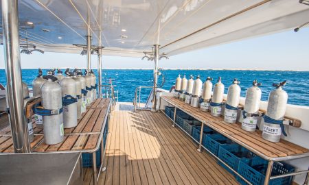 Sea Serpent Glory_Dive Platform