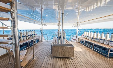 Sea Serpent Glory_Dive Platform