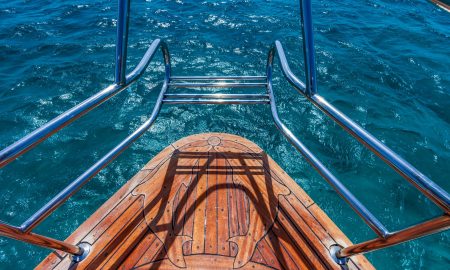 Golden Dolphin III_Bow