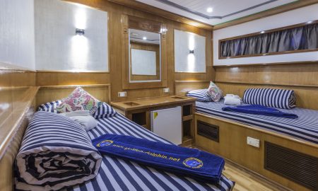 Golden Dolphin II_Twin Cabin