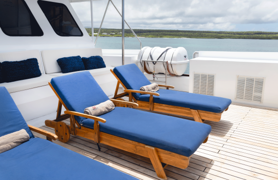 Humboldt Explorer_Sundeck