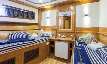 Golden Dolphin II_Twin Cabin