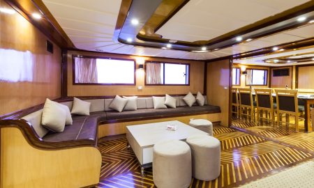 Golden Dolphin II_Salon