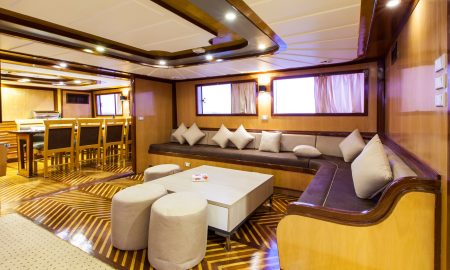 Golden Dolphin II_Salon