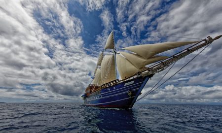 MSV Amira ©Kurt W. Gross