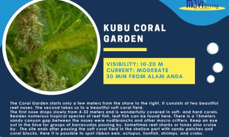Kubu Coral Garden