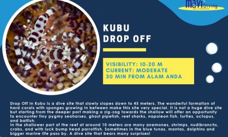 Kubu Drop Off