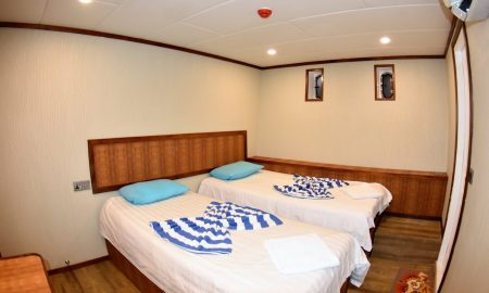 Emperor Leo_Twin Cabin Lower Deck
