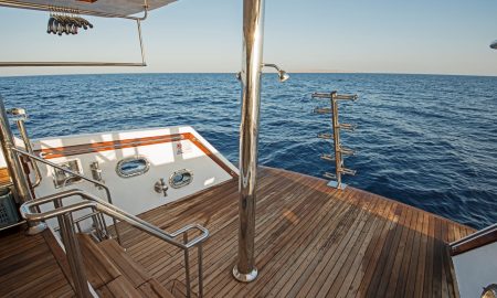 Sea Serpent Serena_Lower Platform