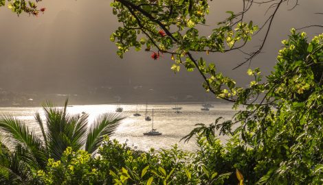 Нуку-Хива_на_курорте_Перл_реальный_вид