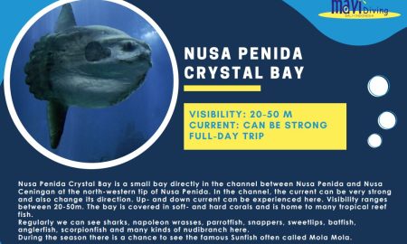 Nusa Penida Crystal Bay