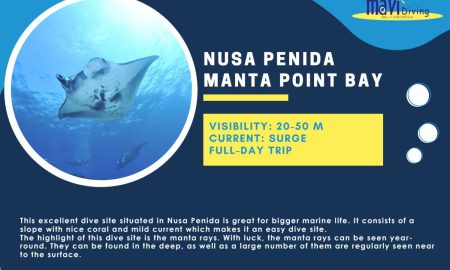Nusa Penida Manta Point Bay