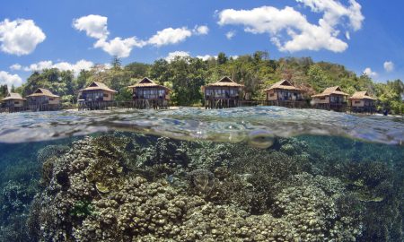 Papua Paradise_House Reef
