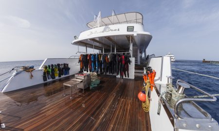 Blue Seas_Dive Platform