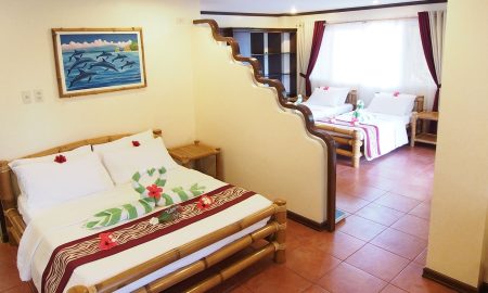 Pura Vida_Family Room Dolphin