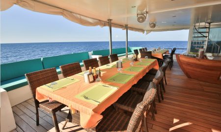 Carpe Novo_Restaurant