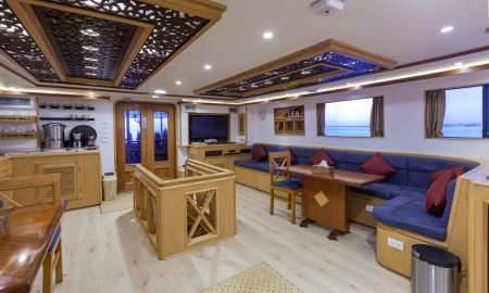 Golden Dolphin I_Salon