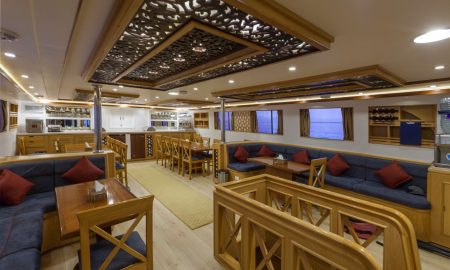 Golden Dolphin I_Salon