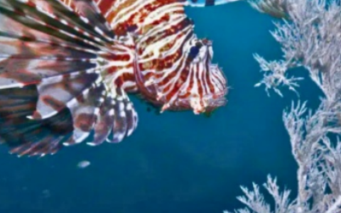 Screenshot 2026-07-16 183844