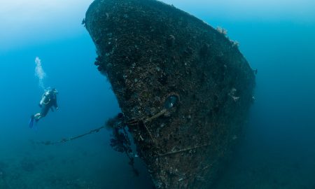 Siddhartha_Diving_Boga