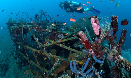 Siddhartha_Diving_House Reef