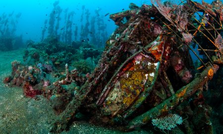 Siddhartha_Diving_House Reef 1