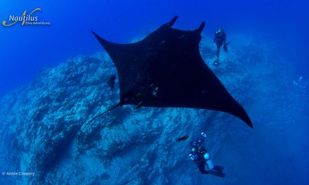 Socorro_Black Manta ©Annie Crawley