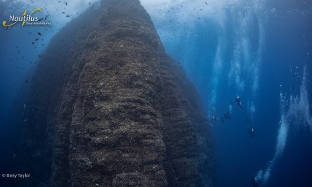 Socorro_Boiler ©Dany Taylor