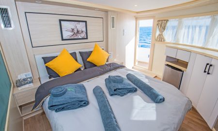 Sea Serpent Glory_Suite