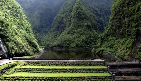 Туры на Таити_Таити Местное движение Тур_Треал