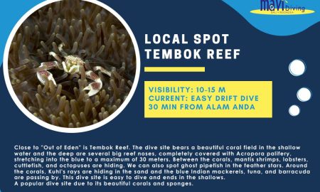 Tembok Reef