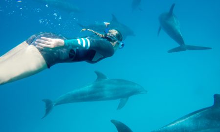 The Breakers Diving &amp; Surfing Lodge_Dolphin Tour