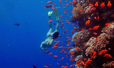 The Breakers Diving & Surfing Lodge_House Reef 1