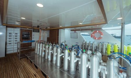 Tiburon Explorer_Dive Deck