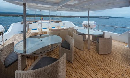 Tiburon Explorer_Upper Deck